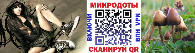 kraken ТОР  где купить наркотик  Кемерово  Галлюциногенные грибы ЛСД 