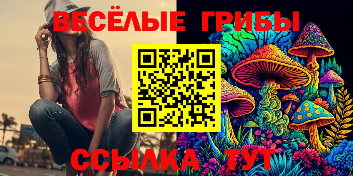 Кемерово  Псилоцибиновые грибы GOLDEN TEACHER  цена наркотик  Вход с VPN  Галлюциногенные грибы MAGIC MUSHROOMS 